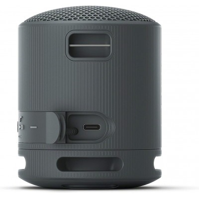 Sony SRS-XB100 Bluetooth Speaker Black